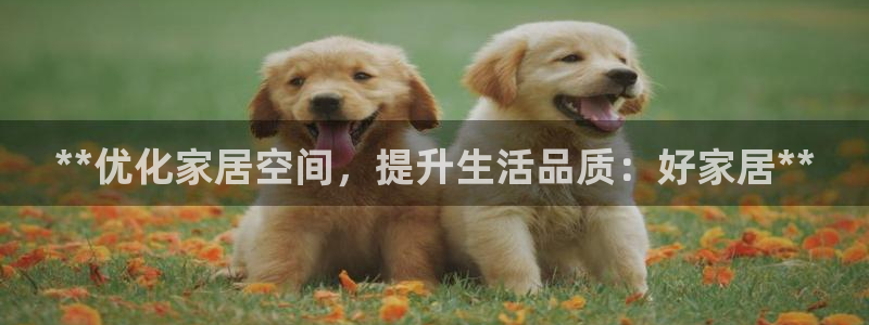 UG环球假网一比一包杀网