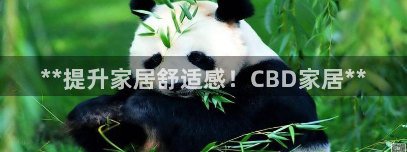 ug环球视讯充值