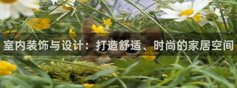 UG环球官方网