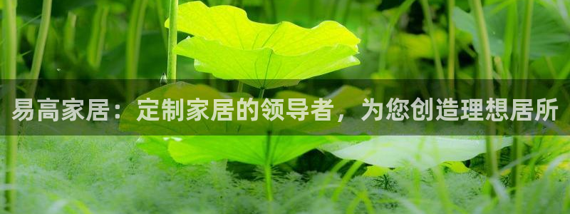 ug环球代理