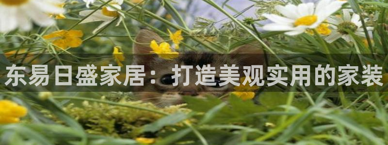 ug环球360代理