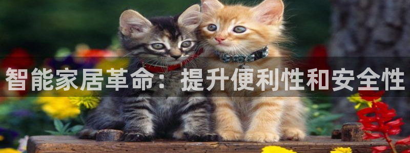 ug环球游戏网站官网