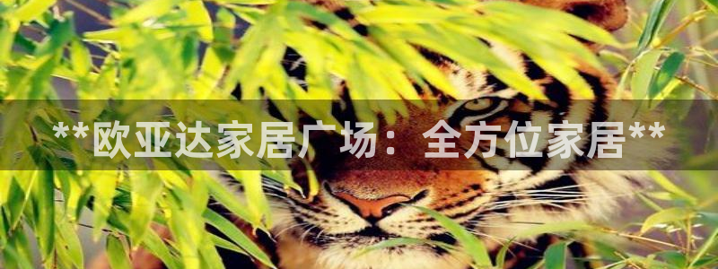 ug环球会员网站登录