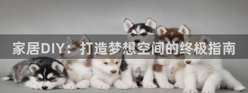 ug环球官网24小时