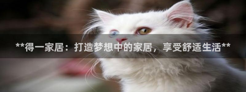ug环球会员手机版下载官网