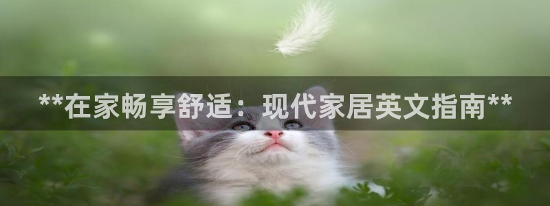 ug环球视讯官网网址