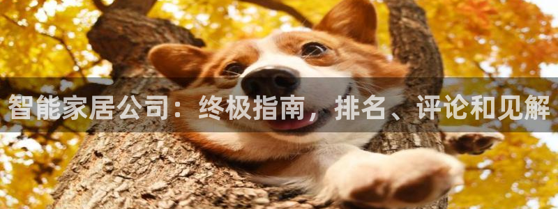 ug环球视讯
