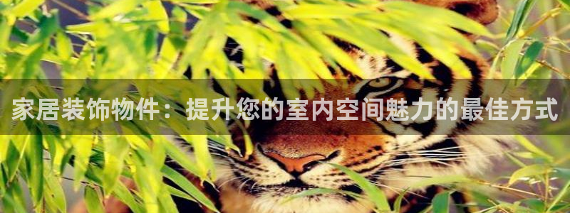 ug环球平台