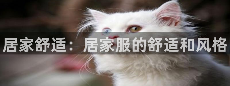 ug环球网