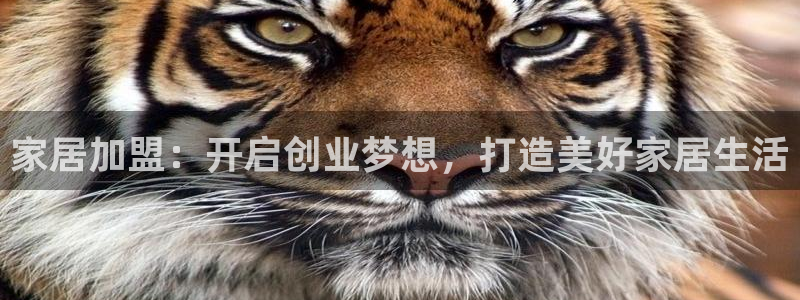 ug环球视讯充值