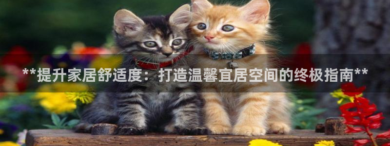 Ug环球私网一比一