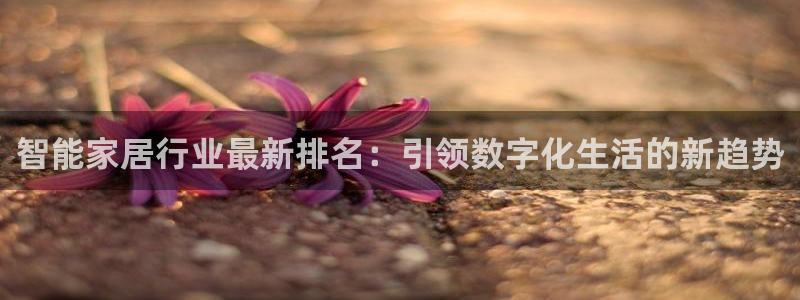 UG环球代理合作