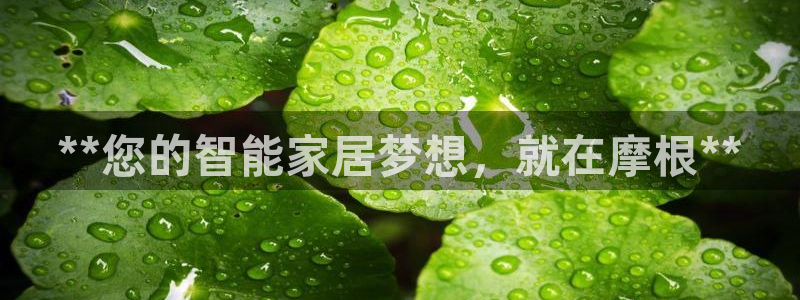 ug环球国际