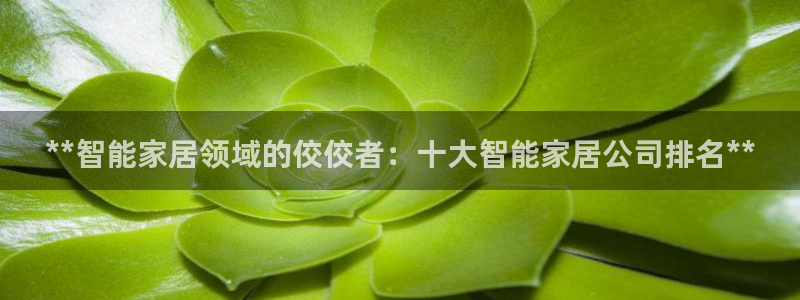 ug环球视讯官网