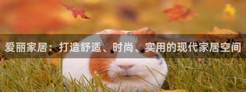 ug环球假网一比一