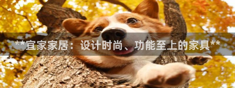 ug环球找唯xkk 908