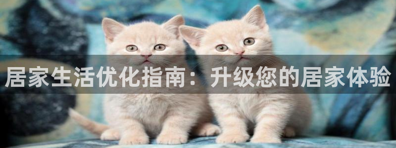 ug环球代理加盟