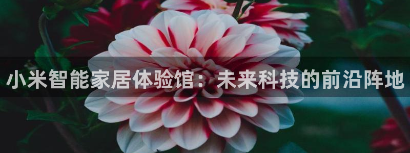 ug环球官网合作