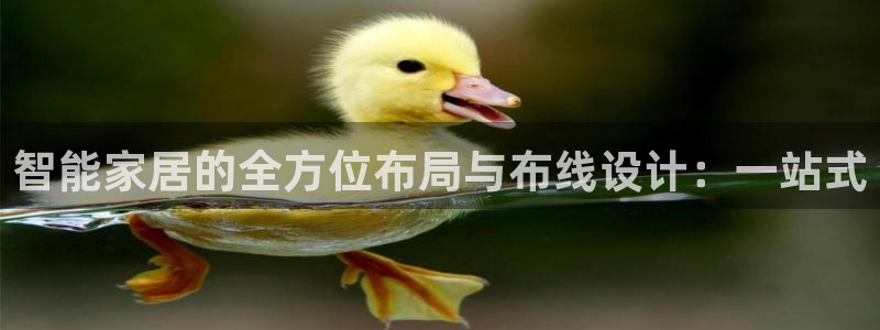 ug环球买代理
