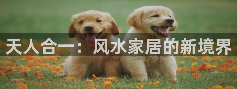 ug环球会员官网