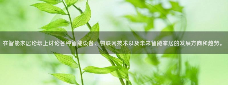 ug环球游戏网站：在智能家居论坛上讨论各