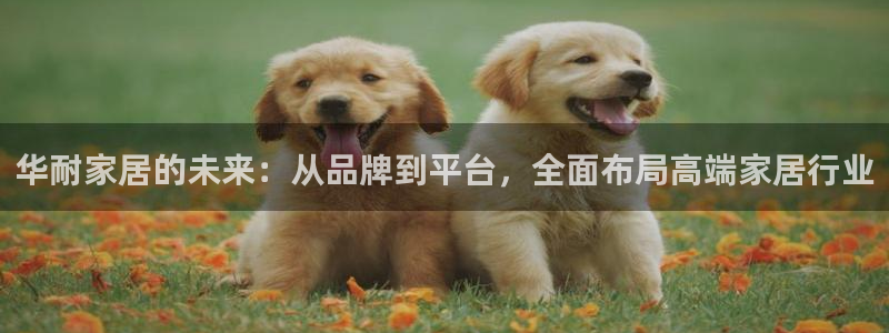 ug环球视讯手机版官网